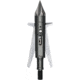 Slick Trick Torch Broadhead