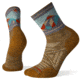 Smartwool PhD Outdoor Light Pattern Mid Crew Socks - Mens, Desert Sand, Medium, SW001250A37-M