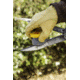 Smiths Edge Eater Stone, 50910