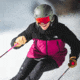 Smith Preview Snow Goggle