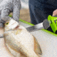 Smiths Mr. Crappie Slab-O-Matic Electric Knife, Green, SP-51207