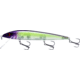Smithwick Perfect 10 Rogue Jerkbait, 5.5in, 5/8 oz, Lady, ADR5282