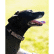 Snow Peak Tape Collar, Grey/Red, Small, PT-110