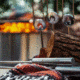 Solo Stove Roasting Sticks, Stainless Steel, SS-STICKS