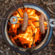 Solo Stove Roasting Sticks, Stainless Steel, SS-STICKS