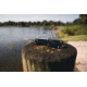 Southern Grind Arachnid Automatic Folding Knife, 3.2 in, S35VN Steel, Point Plain Blade, Stonewash Drop, Black 7075-T6 Aluminum Handle, SG12030020