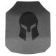 Spartan Armor Systems AR550 Steel Core Body Armor, 10x12, Set Of Two