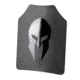 Spartan Armor Systems Spartan Omega AR500 Body Armor and Sentinel Plate Carrier Package, Black, Adjustable, SAS-AR500PKG-STNL-BK-SPEC-KIT, SAS-AR500PKG-STNL-BK-SPEC-KIT
