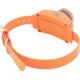 SportDOG Accessory Beeper Collar
