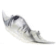 050538183000: Spy Optic Nose Guard for Alloy &amp; Targa MX Goggles - Clear Color