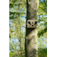 Spy Point Tiny-W3 10MP Trail HD Camera w/Wireless Access and Time-Lapse/Multi-shot, Camo Tiny-W3