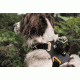 Spy Point Xcel Action Camera Dog Mount, Black XHD-DOG