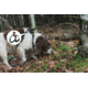 Spy Point Xcel Action Camera Dog Mount, Black XHD-DOG