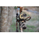 Spy Point XcelHD Hunt Edition 5MP HD Action Camera w/Remote, Camo Xcel HD Hunt