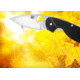 Spyderco Efficient Folding Knife, 3in, 8Cr13MoV, Leaf Blade, Fiberglass-Reinforced Nylon, Black Handle, C216GP