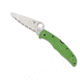 Spyderco Pacific Salt 2 Folding Knife, 3.78in, H-1, FRN, Spyder, Green, C91FSGR2