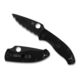 Spyderco Tenacious Lightweight Folding Knife, 3.39in, 8Cr13MoV, Clip Point, Black Blade, FRN Black Handle, C122PBBK