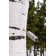 SpyHigh Mounting System Trail Camera Mount &amp; Tree Attachment Set, Tan, Pack of 1, SHCMP1