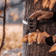 Spypoint FLEX-M Cellular Trail Camera - Twin Pack F4BA2688