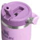 Stanley IceFlow Flip Straw 2.0 Tumbler, Lilac, 14 oz/0.41 L, 10-12045-007