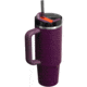 Stanley The Quencher H2.O FlowState Tumbler, Plum, 30 oz/0.89 L, 10-11825-054