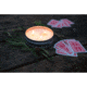 Stansport Bug Repellent Citronella Candle - 3-Wick, 10 oz, Stainless/White, 126