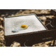 Stansport Cast Iron Griddle - 15x15in 16010-100