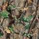 Stealth Cam Realtree Hardwoods Sample