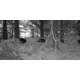 Stealth Cam Stealth Cam DNVB Digital Night Vision Binocular, Black, STC-DNVB2