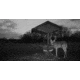 Stealth Cam Stealth Cam DNVB Digital Night Vision Binocular, Black, STC-DNVB2