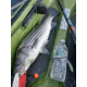 SteelShad Heavy, 1/2 Oz, Glow Yellow, SSL-10216