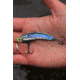 SteelShad Heavy, 1/2 Oz, Kentucky Shad, SSL-10122