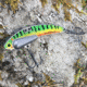 SteelShad Heavy, 1/2 Oz, Perch/Firetiger, SSL-10120