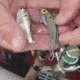 SteelShad Heavy, 1/2 Oz, Sexy Shad, SSL-10123