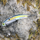 SteelShad Heavy, 1/2 Oz, Sexy Shad, SSL-10123