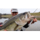 SteelShad Heavy, 1/2 Oz, Silver/Chrome, SSL-10118