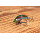 SteelShad Heavy, 1/2 Oz, Trout, SSL-10121