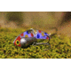 SteelShad Heavy, 1/2 Oz, Wonderbread, SSL-10137