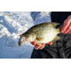 SteelShad Heavy, 1/2 Oz, Wonderbread, SSL-10137