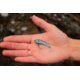SteelShad Mini, 2 Pack, 1/4 Oz, Kentucky Shad, SSL-10115