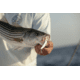 SteelShad XL Bait, 3/4 Oz, Silver/Chrome, SSL-10012