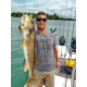 SteelShad XL Bait, 3/4 Oz, Yellow Shad, SSL-10068