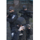 Steiner 7x50mm Police Binoculars 646