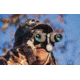 Steiner 8x 30mm Predator Pro Binocular