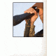 Stoney Point Rapid Pivot Spotting Scope Attachment SSA-10