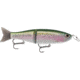 Storm Arashi Glide 19, 7.5in, 3-1/8 oz, 2/0 Hooks, Rainbow Trout, AGB19692