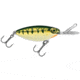 Storm Hot N Tot Madflash Trolling Crankbait, Floating, Chrome Yellow Perch, 2in, 3/16oz, HM601