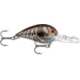 Storm Original Wiggle Wart 05 Hard Bait, Phantom Green Blue Craw, V163