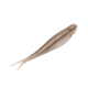 Strike King 3X Z-Too Softbait, 4 pack, 7in, Reel Shad, 12-36725