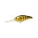 Strike King 8XD Elite Crankbaits, Pro Phantom Perch, 1.4oz, HC8XDE-339
